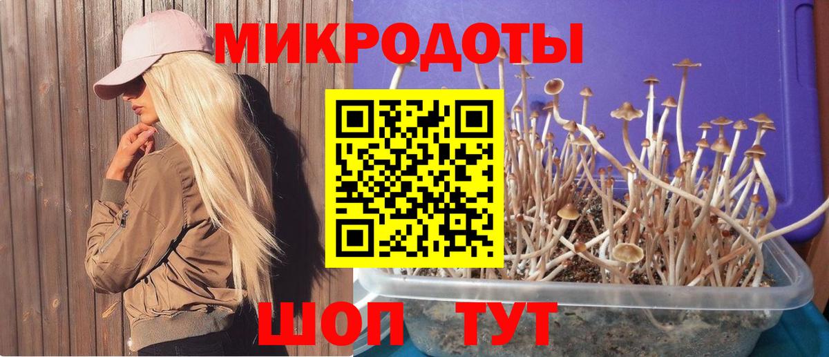 Галлюциногенные грибы ЛСД Красноармейск